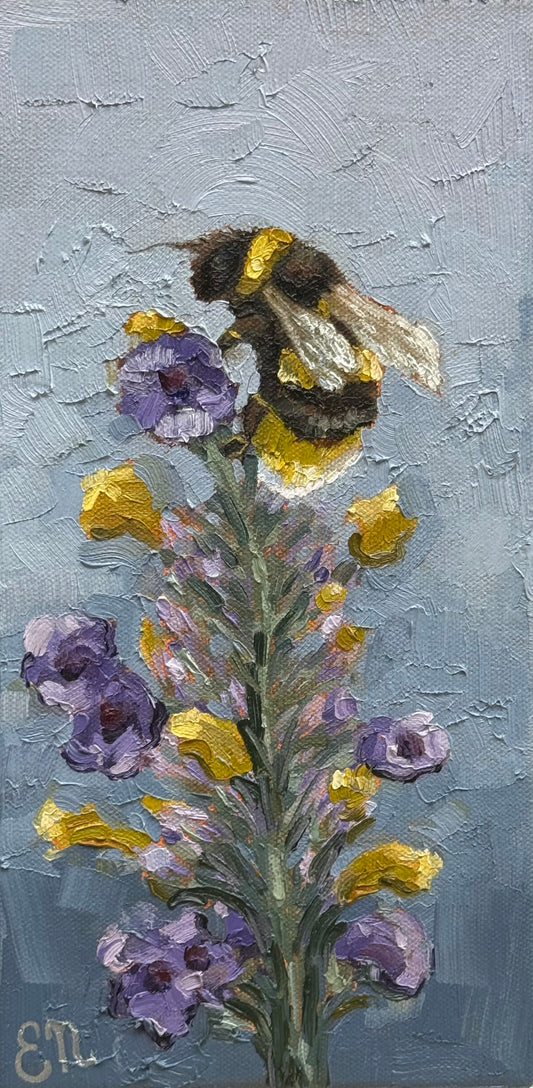 Lavender Dreams