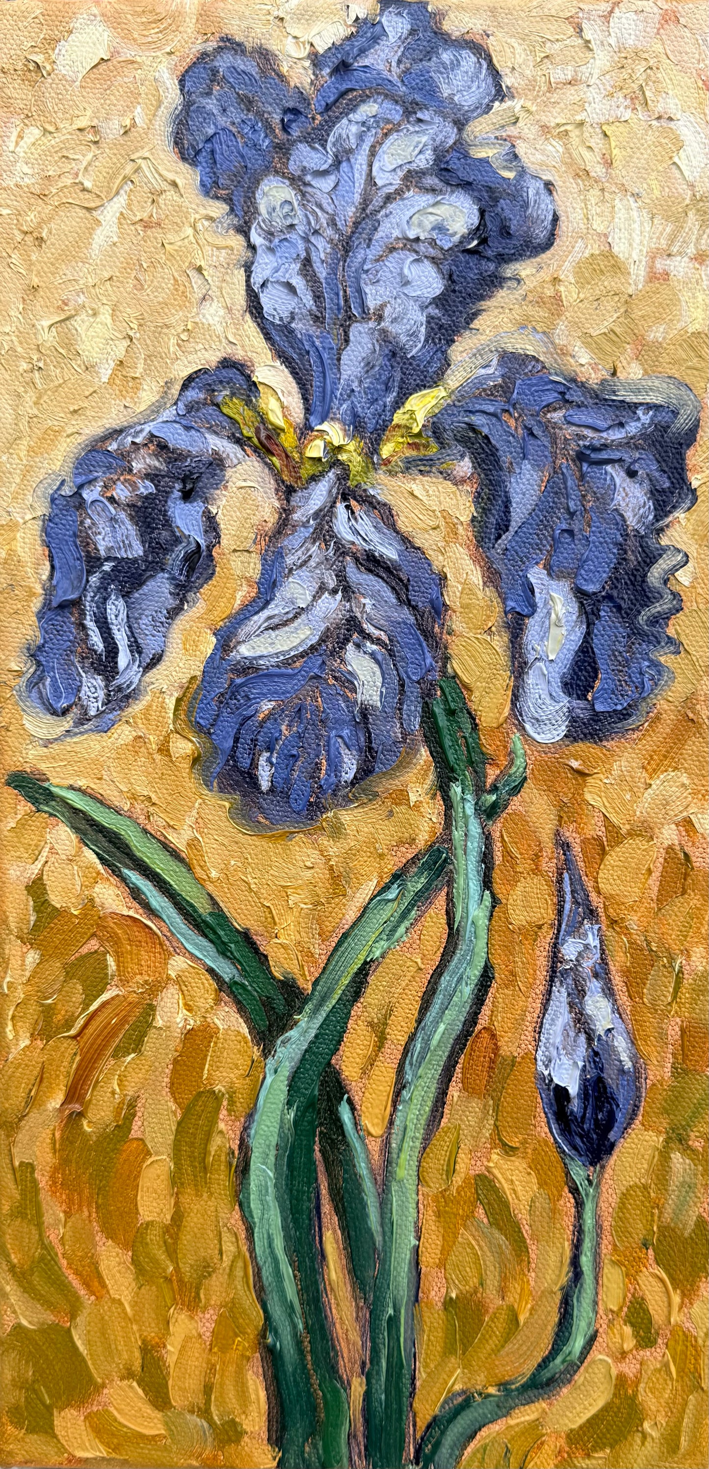 Purple Iris