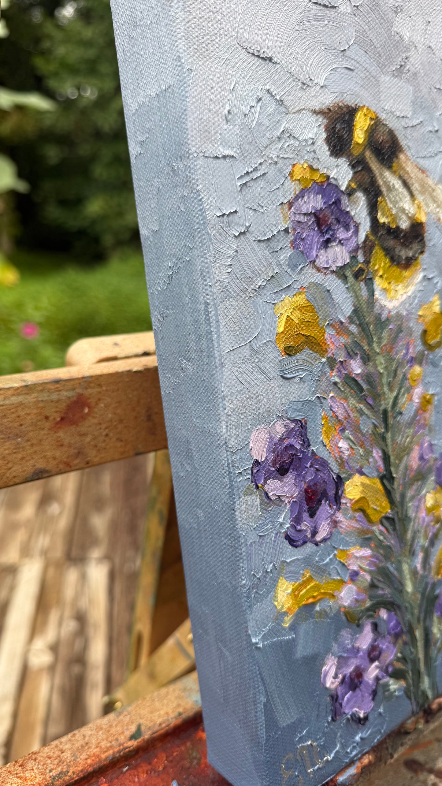 Lavender Dreams