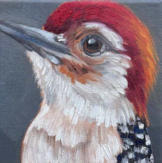 Miniature Red Bellied Woodpecker