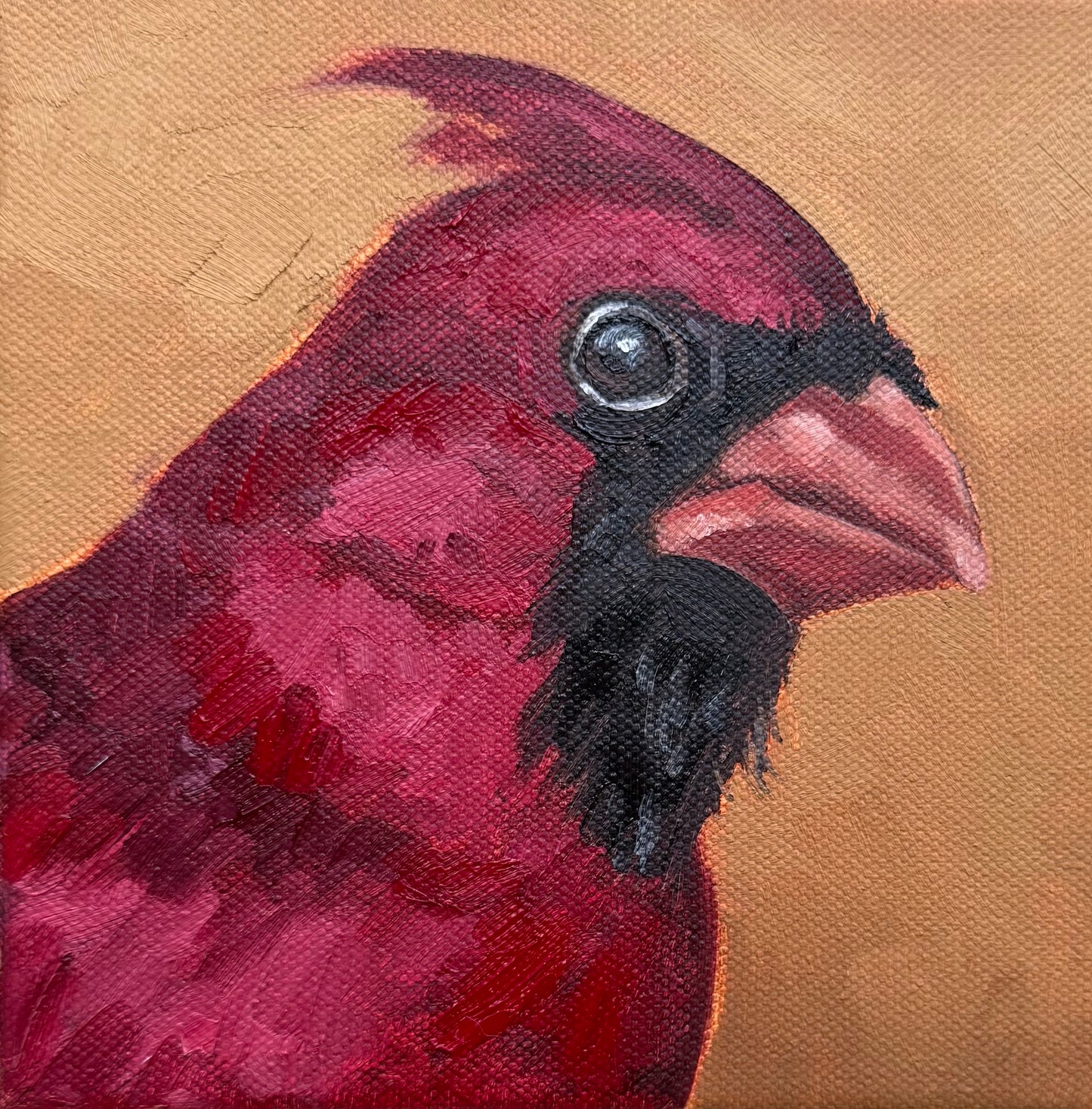 Miniature Cardinal
