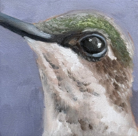 Miniature Female Ruby Throated Hummingbird