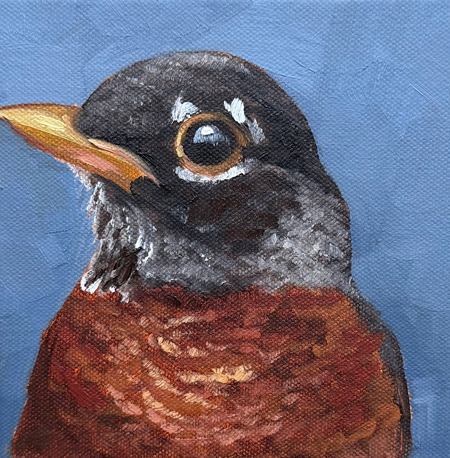 Miniature American Robin