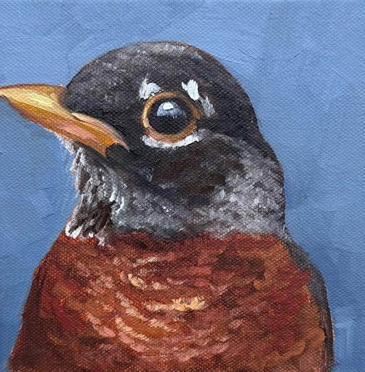 Miniature American Robin