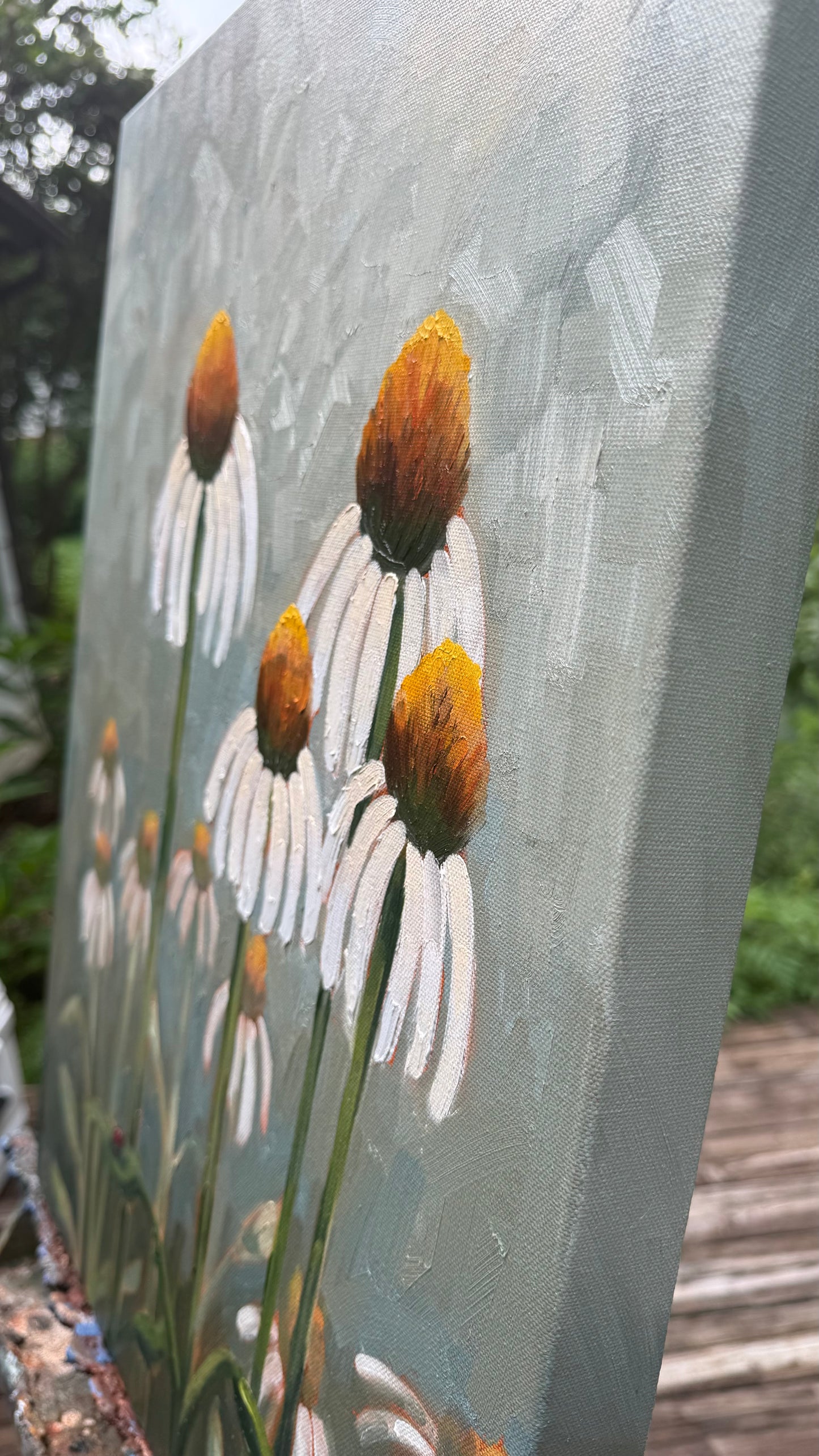 White Coneflowers