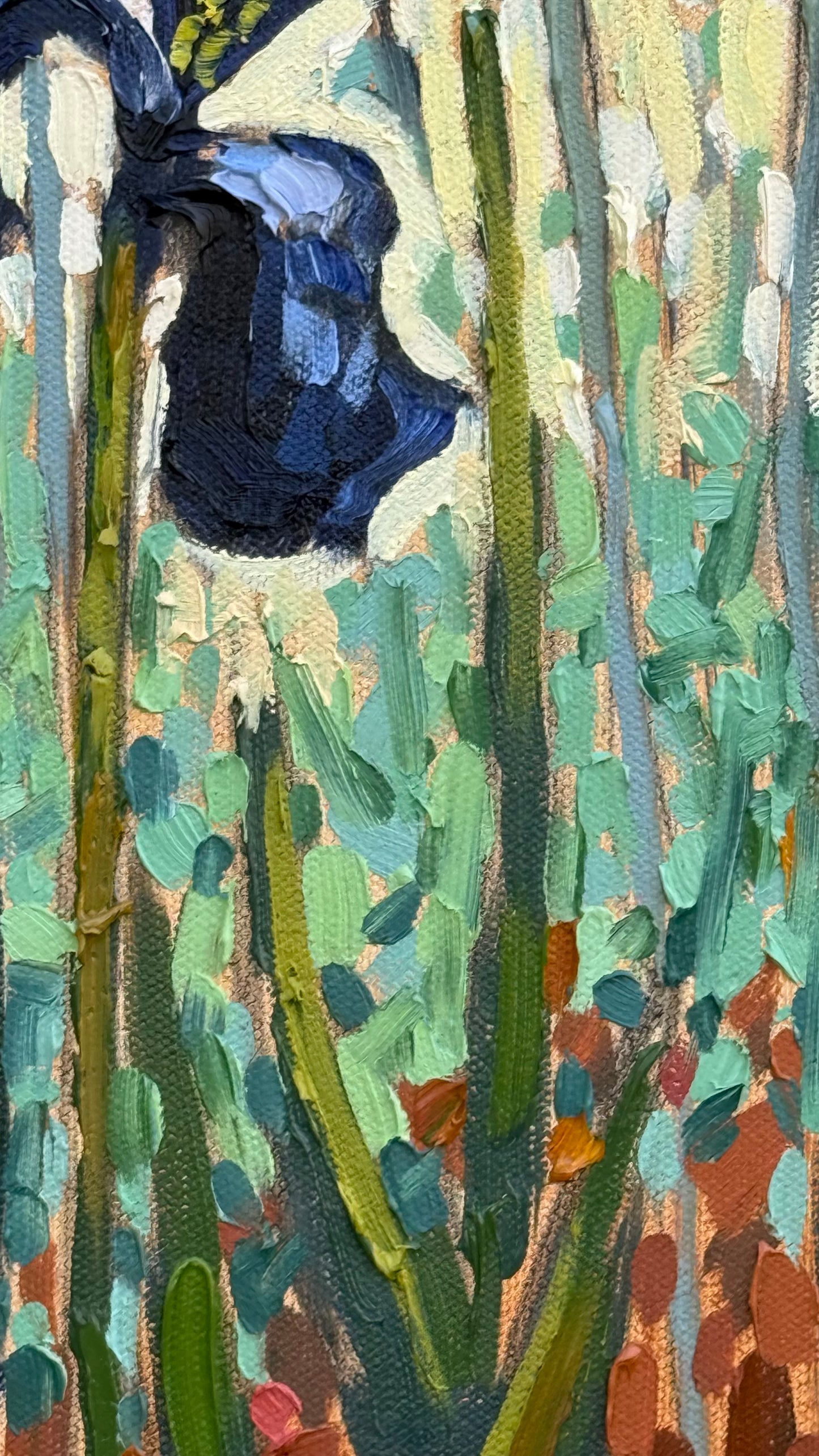 Happy Little Irises