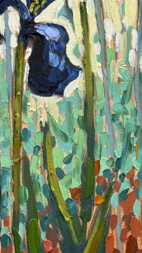Happy Little Irises