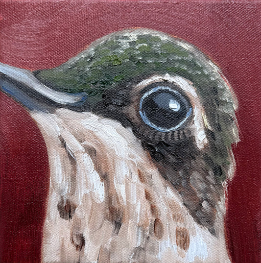 Miniature Female Ruby Throated Hummingbird