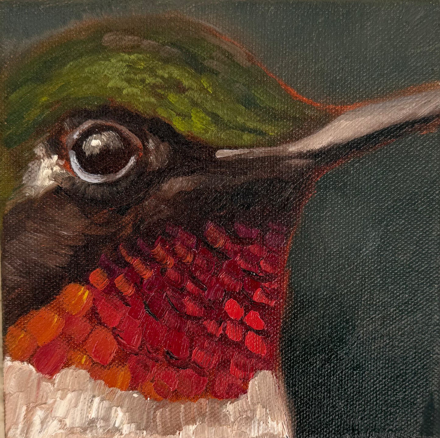 Miniature Ruby Throated Hummingbird