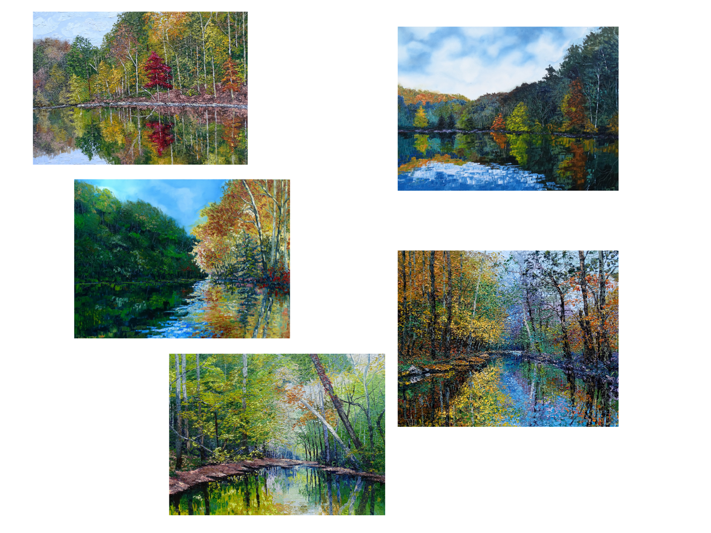 Woodland Reflections Variety Pack