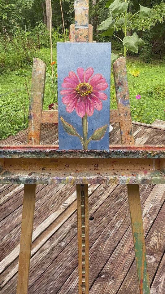 Pink Zinnia