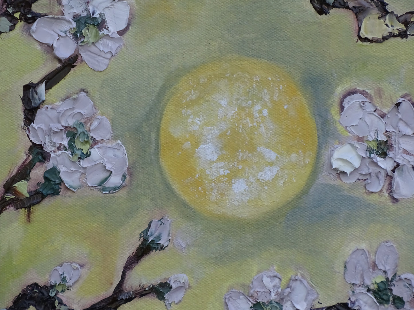 “Moonlight Dance”