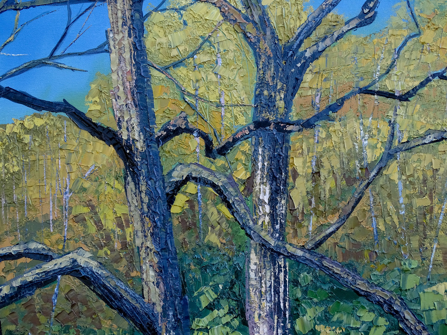 “Hummingbird Haven”