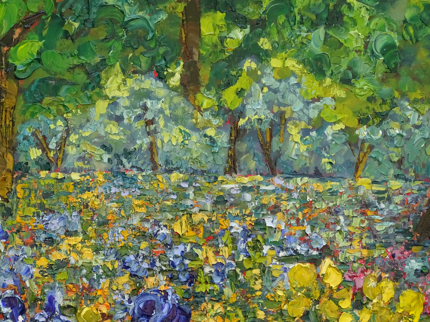 “Field of Irises”