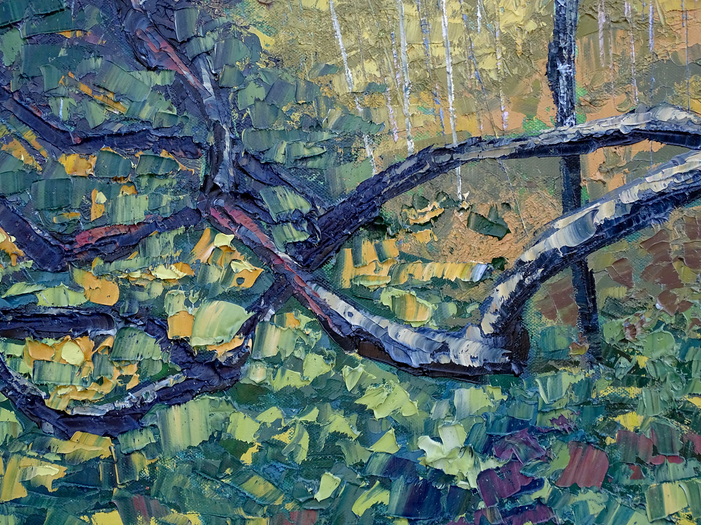 “Hummingbird Haven”