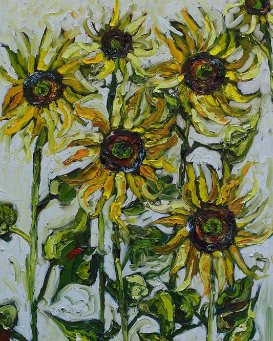 “August Sun”