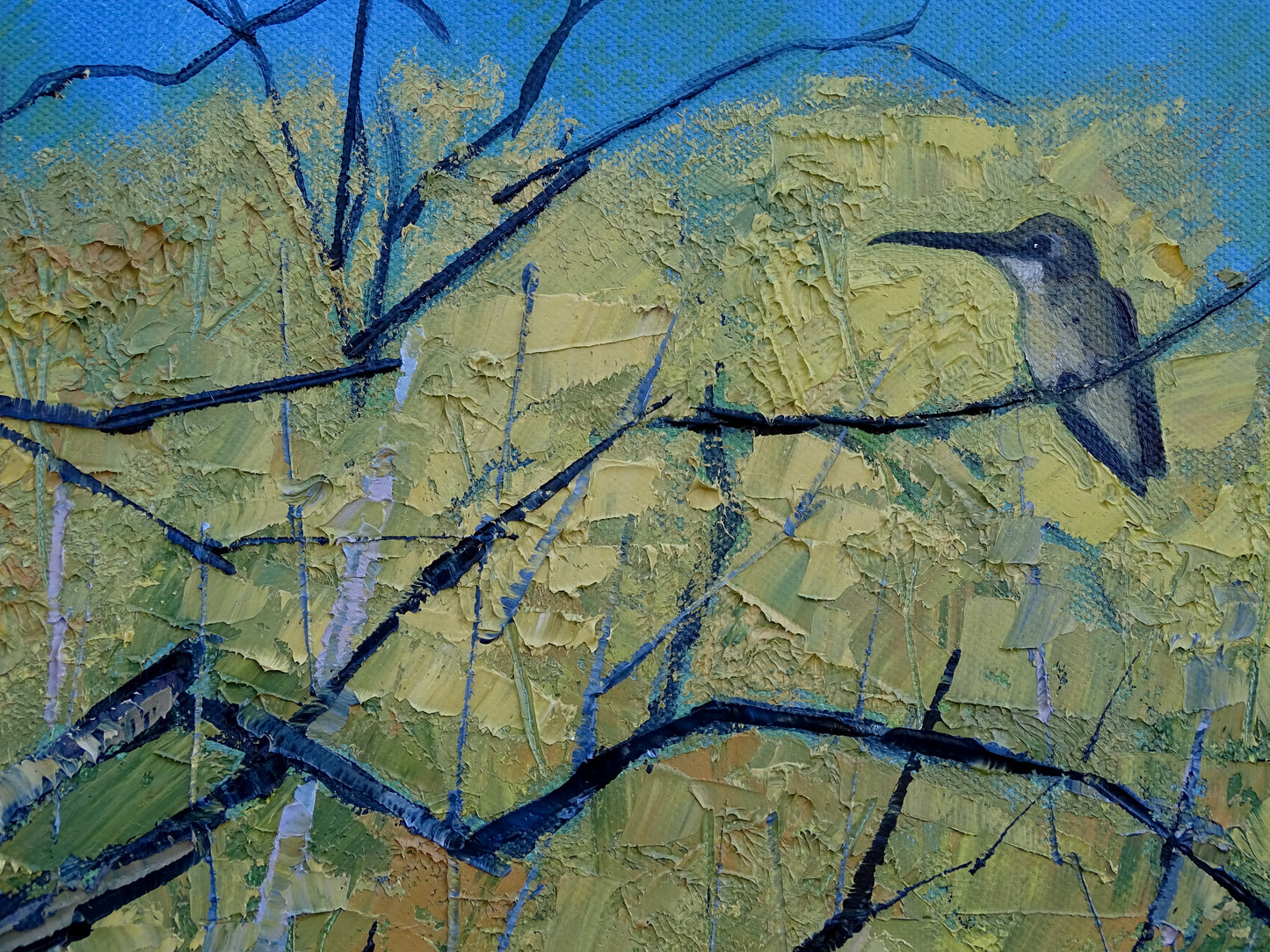 “Hummingbird Haven”