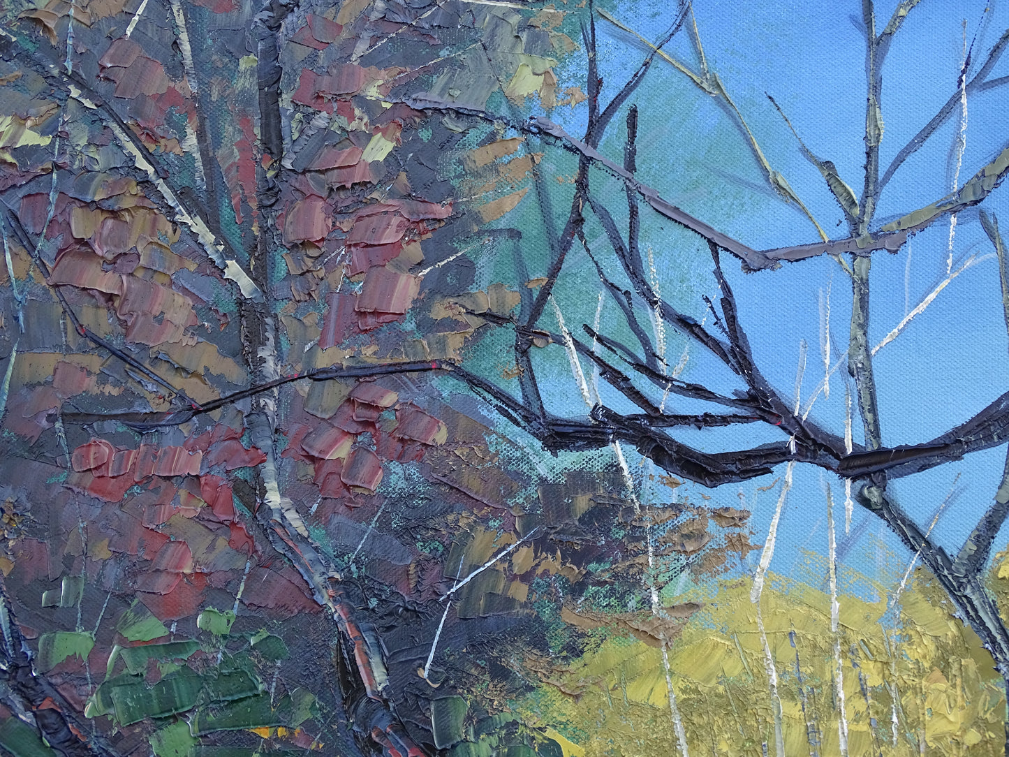 “Hummingbird Haven”